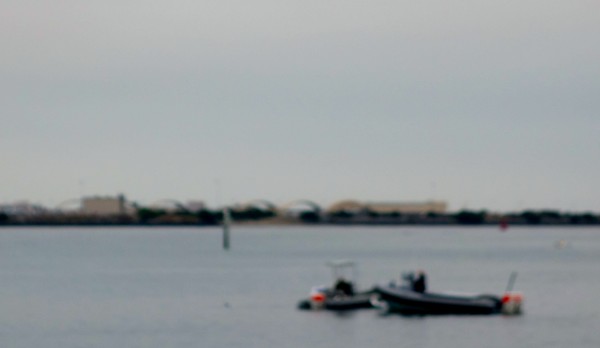 Dolphin Training Scripps