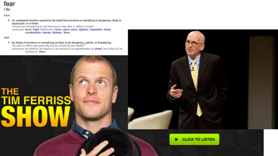 Seth Godin on Fear