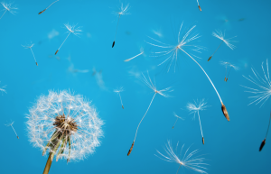 Be free to self-publish wherever you like with your own ISBNs